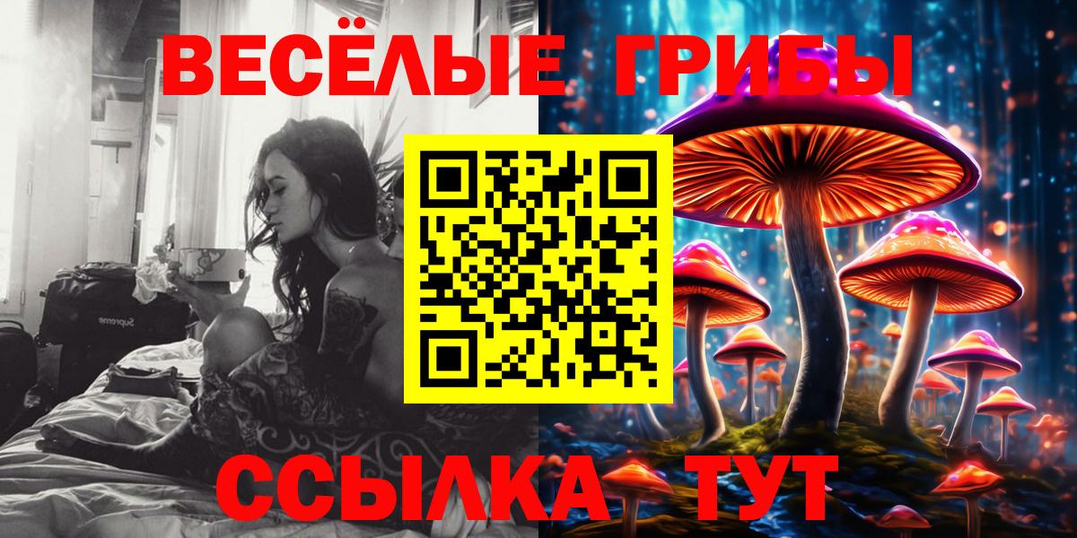 Кизилюрт  Псилоцибиновые грибы Psilocybe  купить  сайты  Галлюциногенные грибы Cubensis  Вход с VPN 