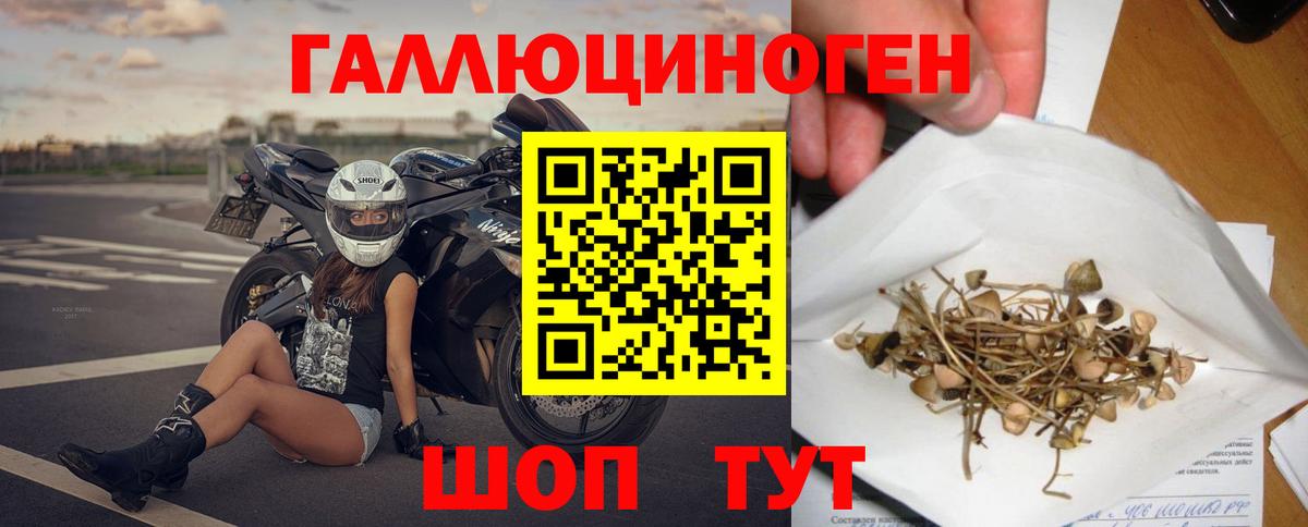 Галлюциногенные грибы прущие грибы Кизилюрт