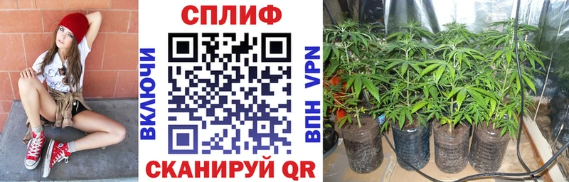 закладки  Кизилюрт  МЕГА ТОР  Марихуана White Widow 